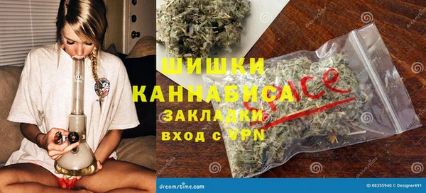 гидра Алексин