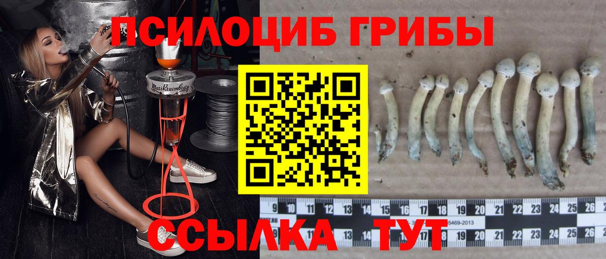 Галлюциногенные грибы мухоморы  Галлюциногенные грибы GOLDEN TEACHER  Губкин  Вход с VPN 